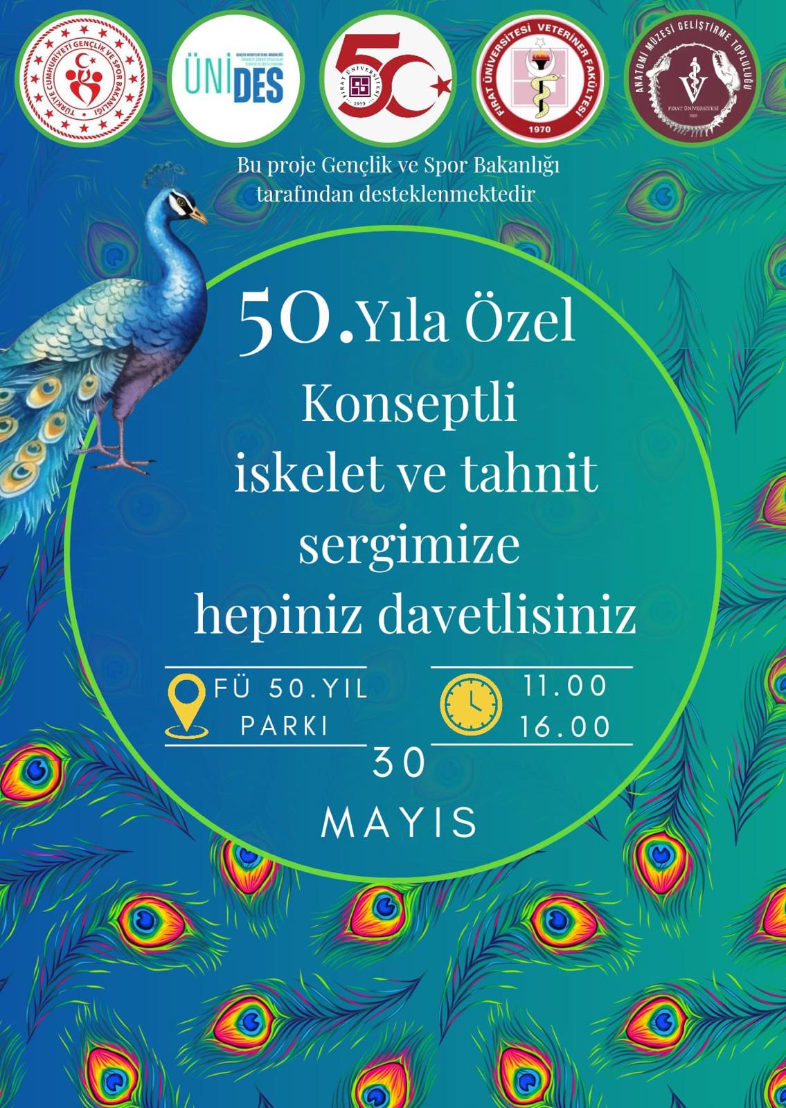 50-yil-iskelet-ve-tahnit-sergisi